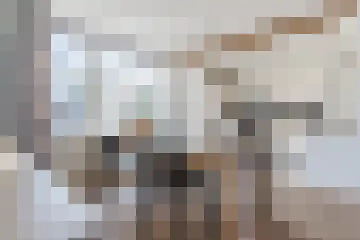 Hagelkruis 6 Bergeijk thumbnail 14