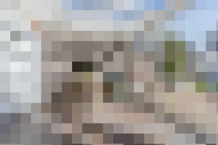 Hagelkruis 6 Bergeijk thumbnail 19