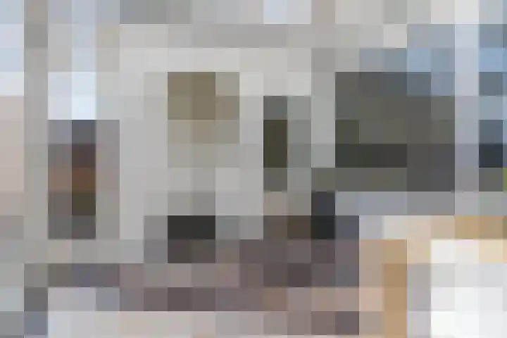 Hagelkruis 6 Bergeijk thumbnail 21