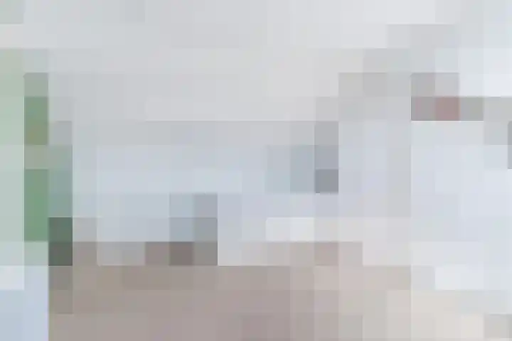 Hagelkruis 6 Bergeijk thumbnail 35
