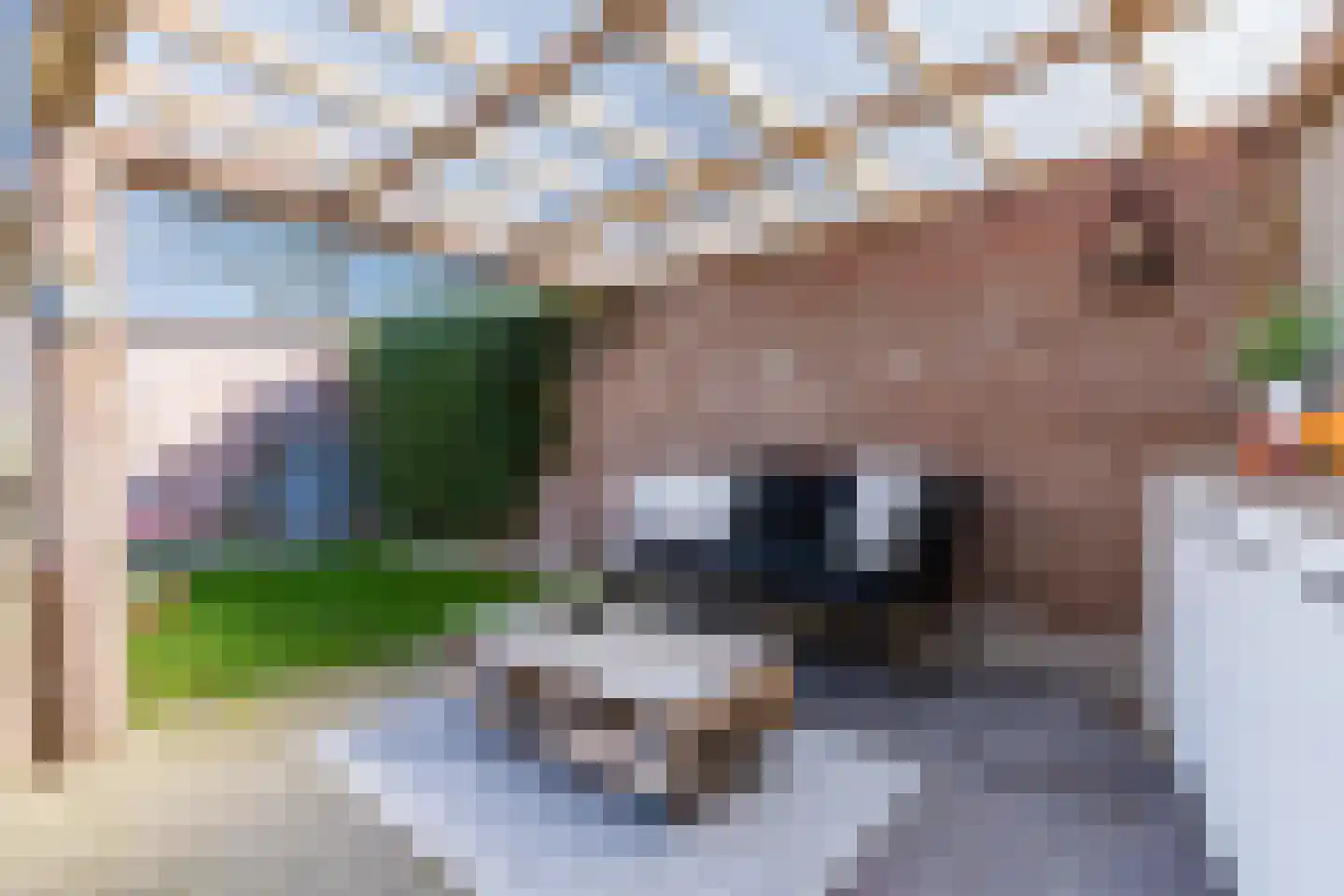 Hagelkruis 6 Bergeijk thumbnail 39