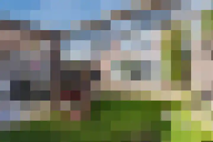 Hagelkruis 6 Bergeijk thumbnail 41