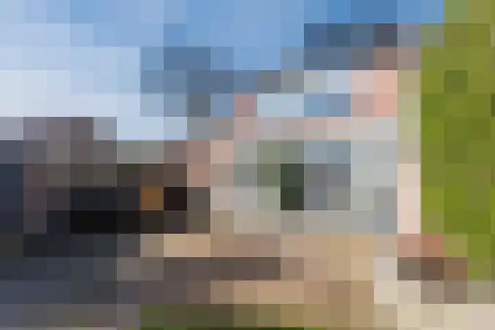 Hagelkruis 6 Bergeijk thumbnail 42