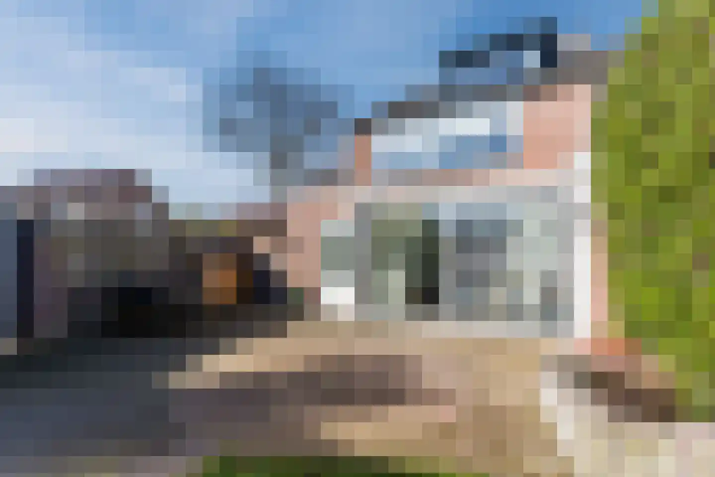 Hagelkruis 6 Bergeijk thumbnail 42