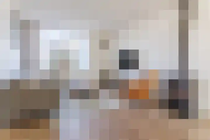 Hagelkruis 6 Bergeijk thumbnail 8