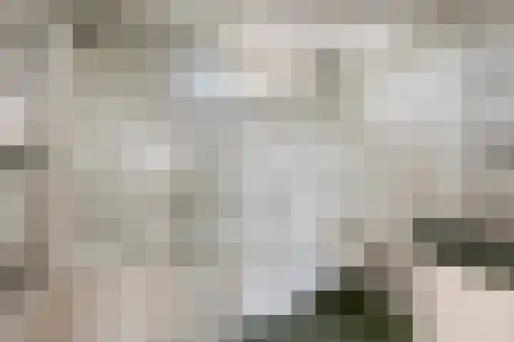 Hagelkruis 63 Bergeijk thumbnail 11