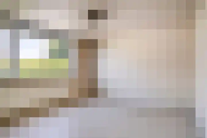 Hagelkruis 63 Bergeijk thumbnail 13