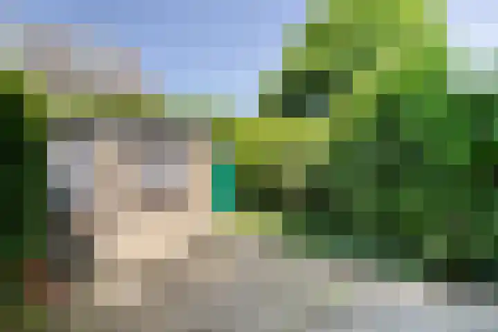 Hagelkruis 63 Bergeijk thumbnail 18