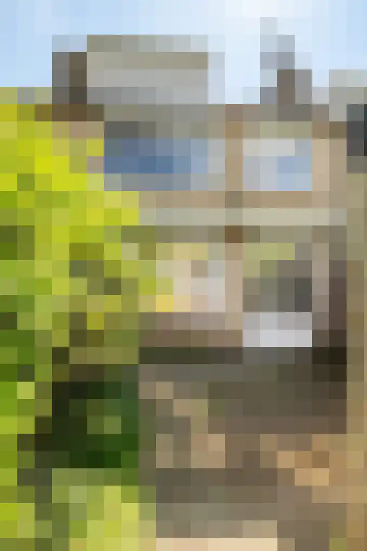 Hagelkruis 63 Bergeijk thumbnail 21