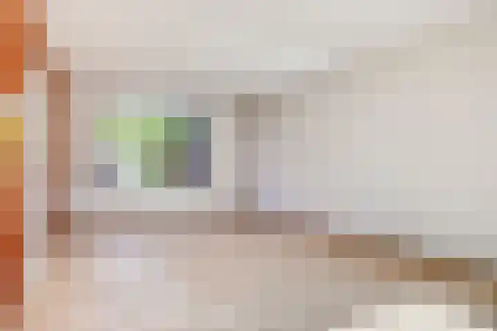 Hagelkruis 63 Bergeijk thumbnail 4