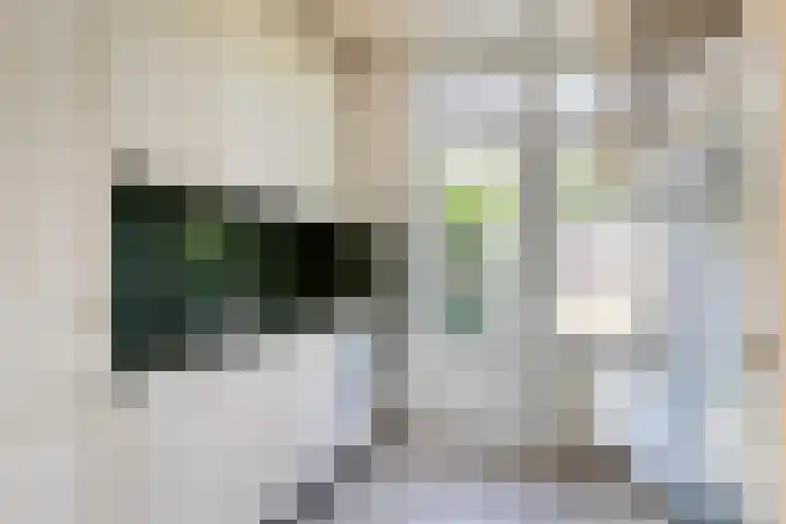 Hagelkruis 63 Bergeijk thumbnail 6
