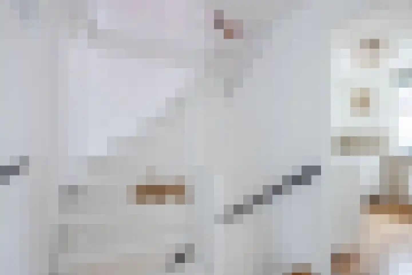 Hagelkruis 65 Bergeijk thumbnail 17
