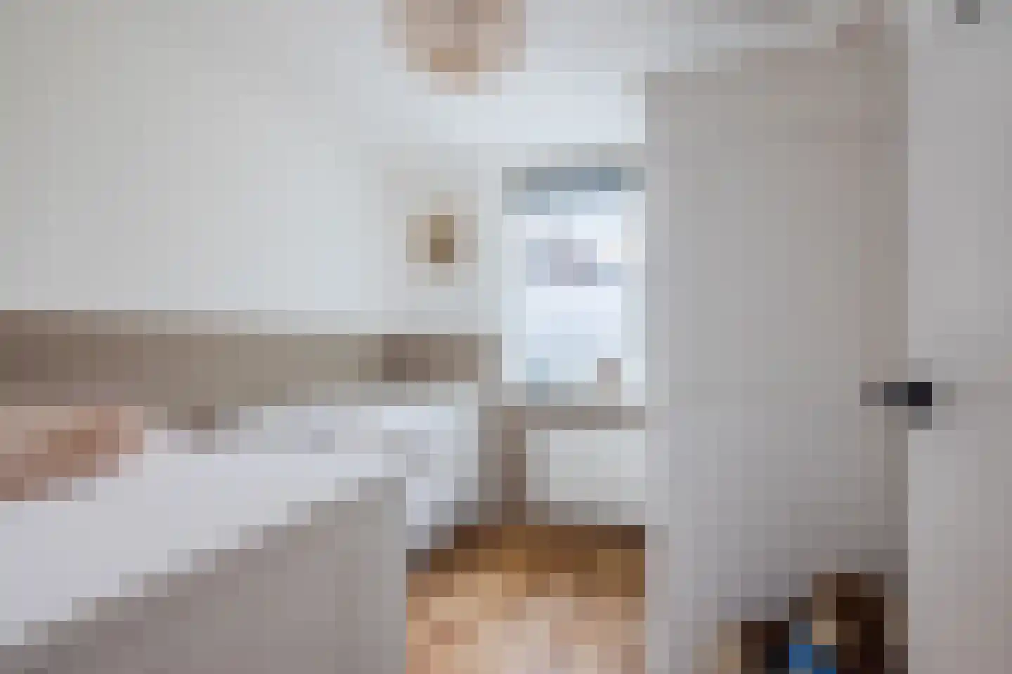 Hagelkruis 65 Bergeijk thumbnail 22