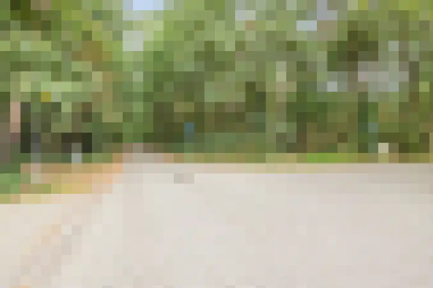 Hagelkruis 65 Bergeijk thumbnail 42