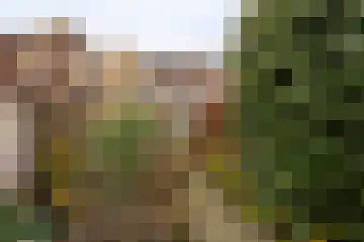 Hagelkruisplein 27 Tilburg thumbnail 31