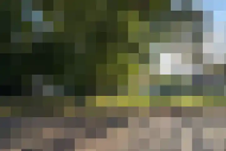 Hagelkruisplein 9 Tilburg thumbnail 33