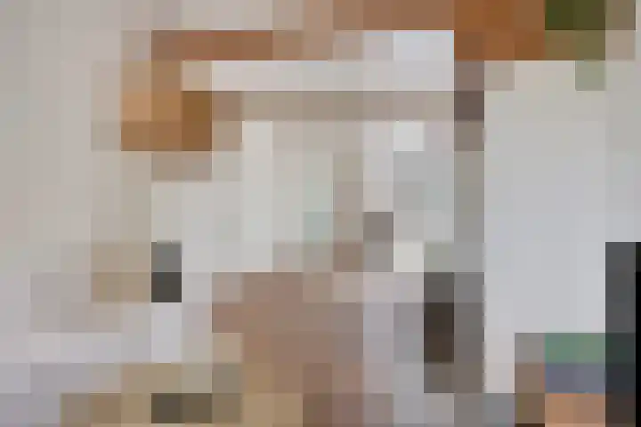Hagelkruisplein 9 Tilburg thumbnail 5