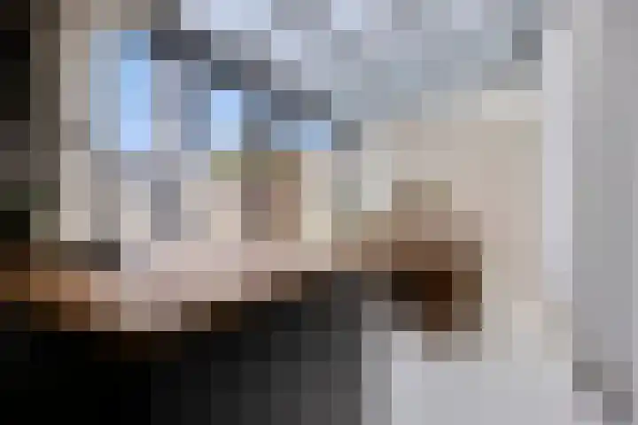 Hagelkruisplein 9 Tilburg thumbnail 7