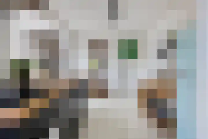 Hagelkruisplein 9 Tilburg thumbnail 9