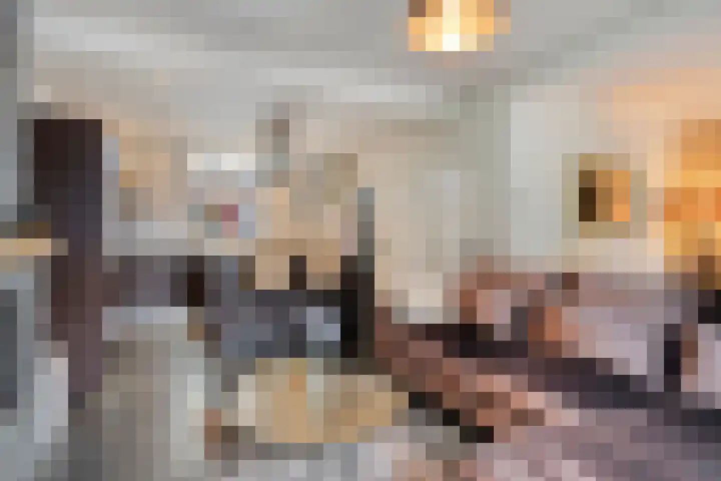 Hagelkruisstraat 3 Erp thumbnail 10