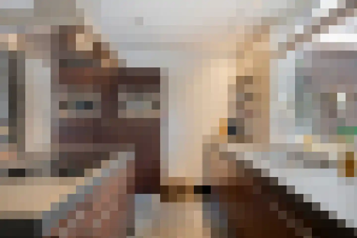 Hagelkruisstraat 3 Erp thumbnail 13