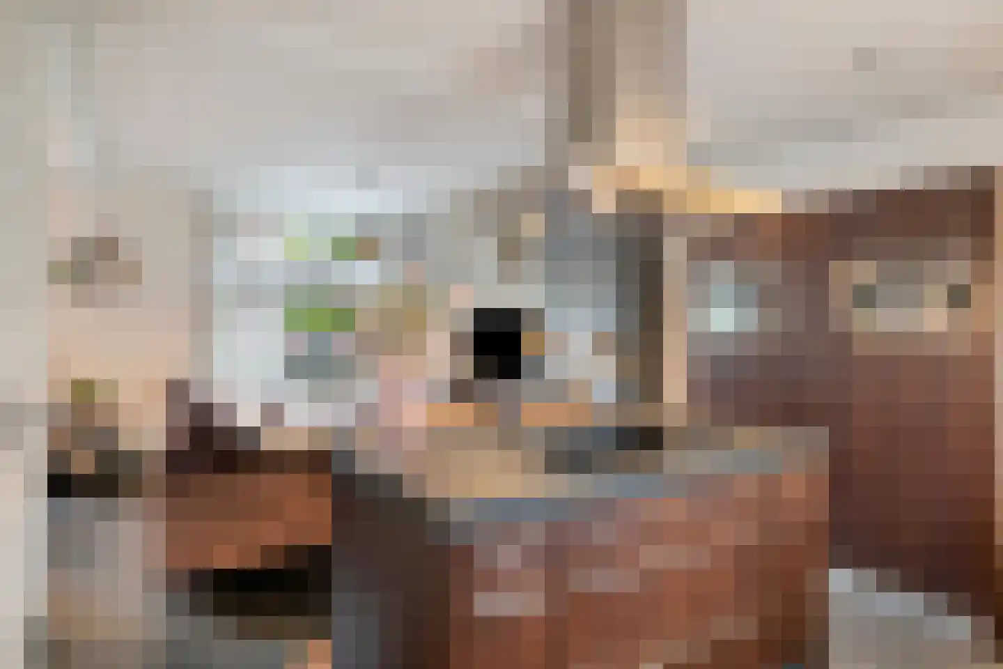 Hagelkruisstraat 3 Erp thumbnail 14