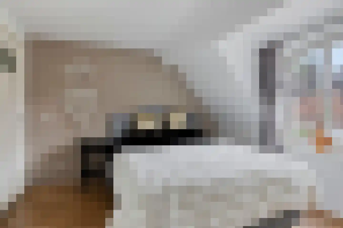 Hagelkruisstraat 3 Erp thumbnail 21