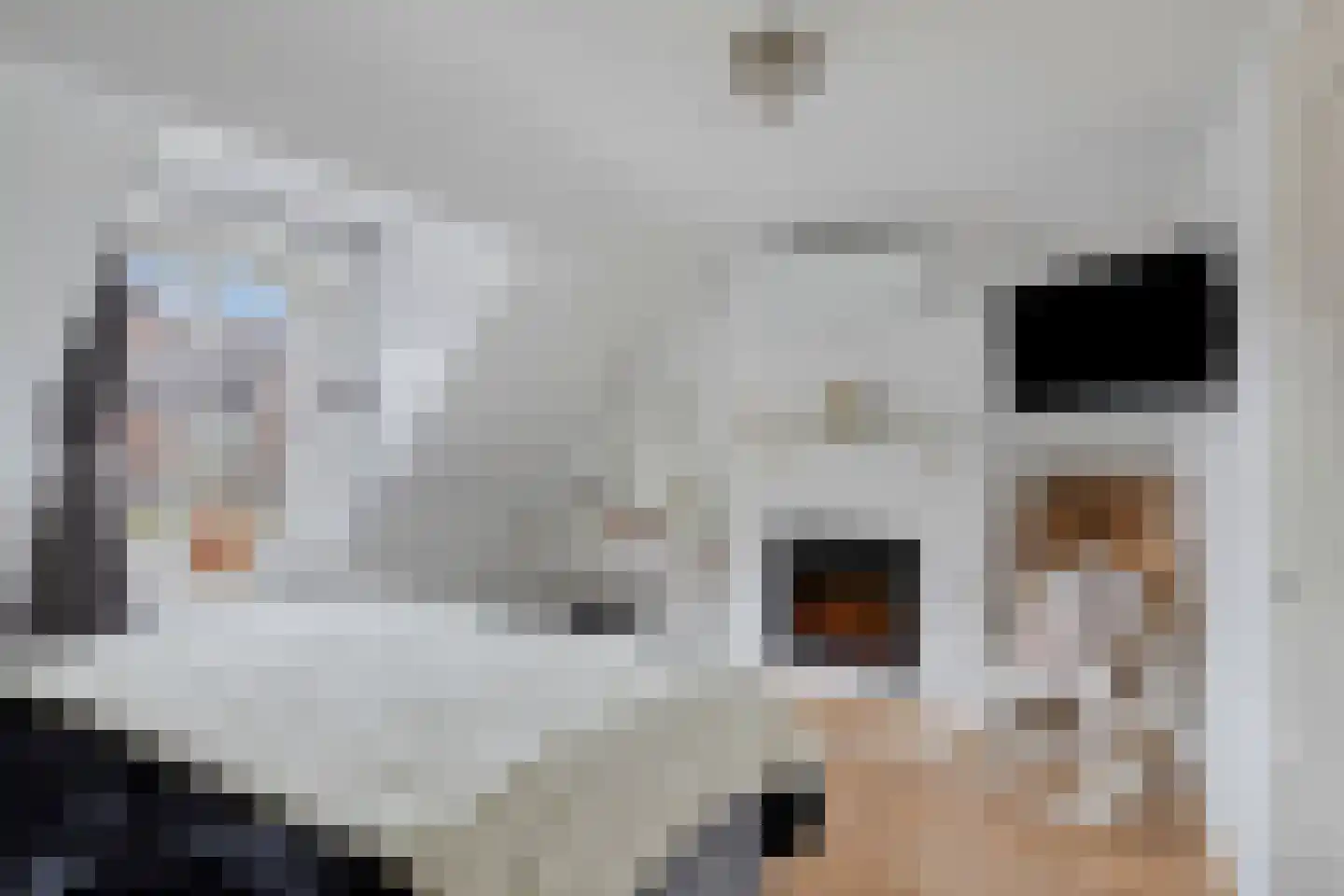 Hagelkruisstraat 3 Erp thumbnail 22