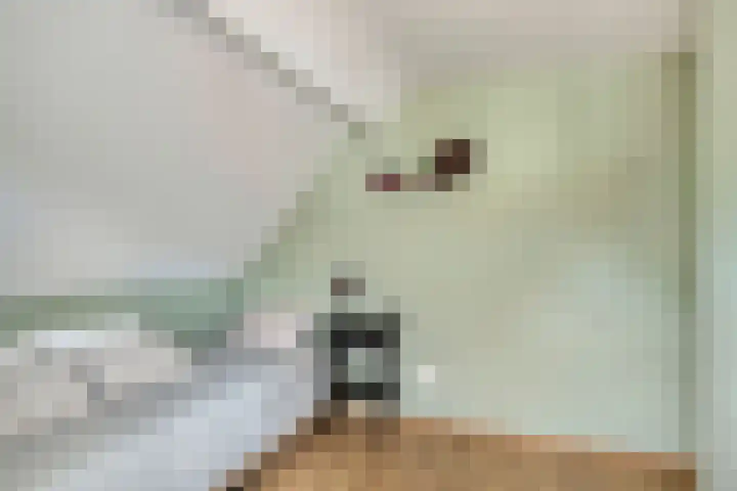 Hagelkruisstraat 3 Erp thumbnail 24