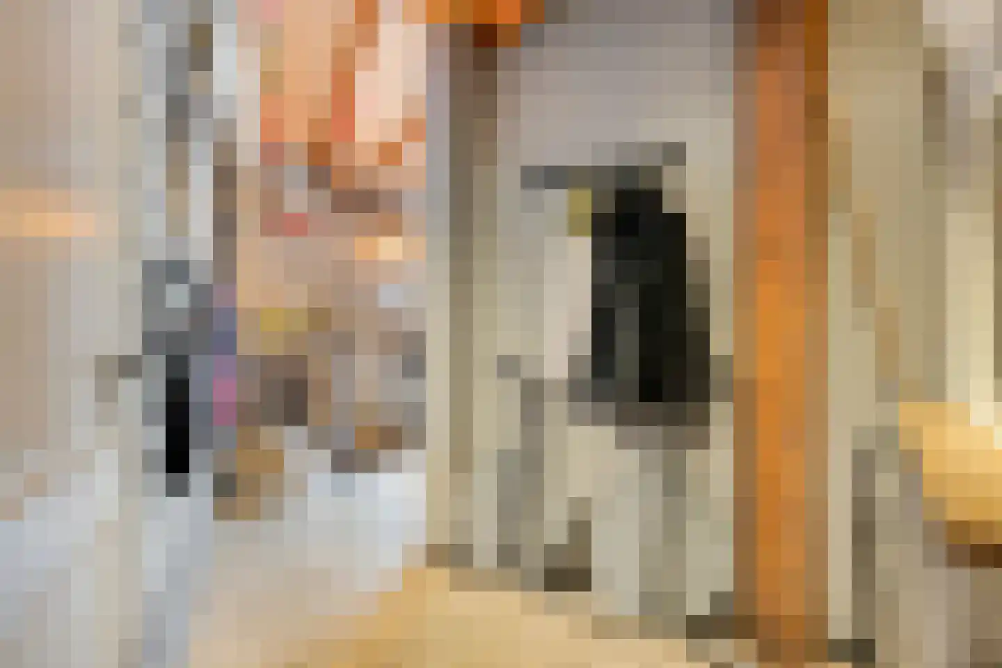 Hagelkruisstraat 3 Erp thumbnail 37