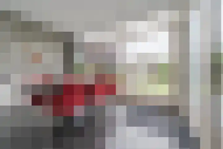 Hagelkruisweg 13 Aarle-Rixtel thumbnail 18