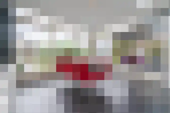 Hagelkruisweg 13 Aarle-Rixtel thumbnail 19