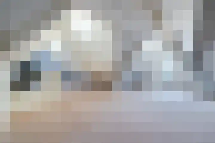 Hagelkruisweg 13 Aarle-Rixtel thumbnail 39