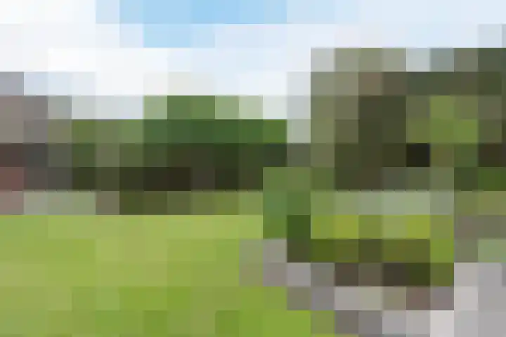 Hagelkruisweg 13 Aarle-Rixtel thumbnail 43