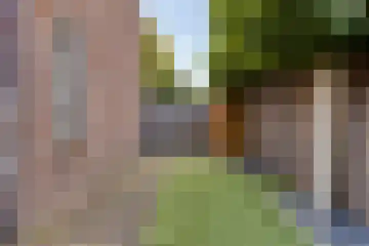 Hagelkruisweg 16 Aarle-Rixtel thumbnail 30