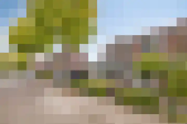 Hagelkruisweg 16 Aarle-Rixtel thumbnail 33