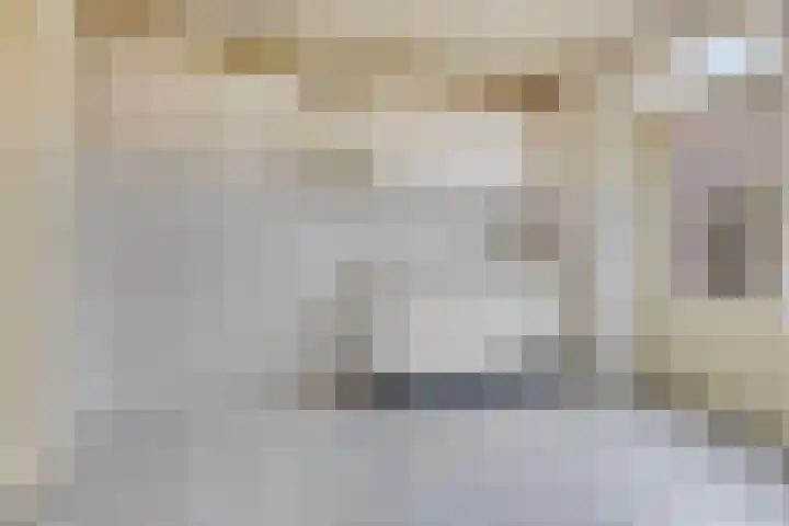Hagelkruisweg 18 Aarle-Rixtel thumbnail 4