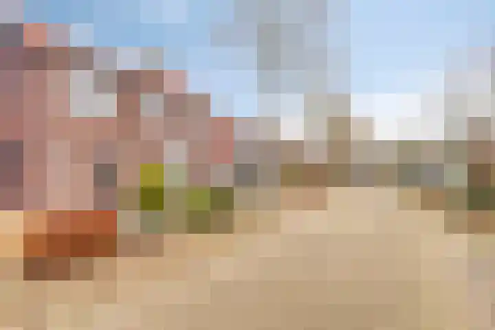 Hagelkruisweg 18 Aarle-Rixtel thumbnail 7