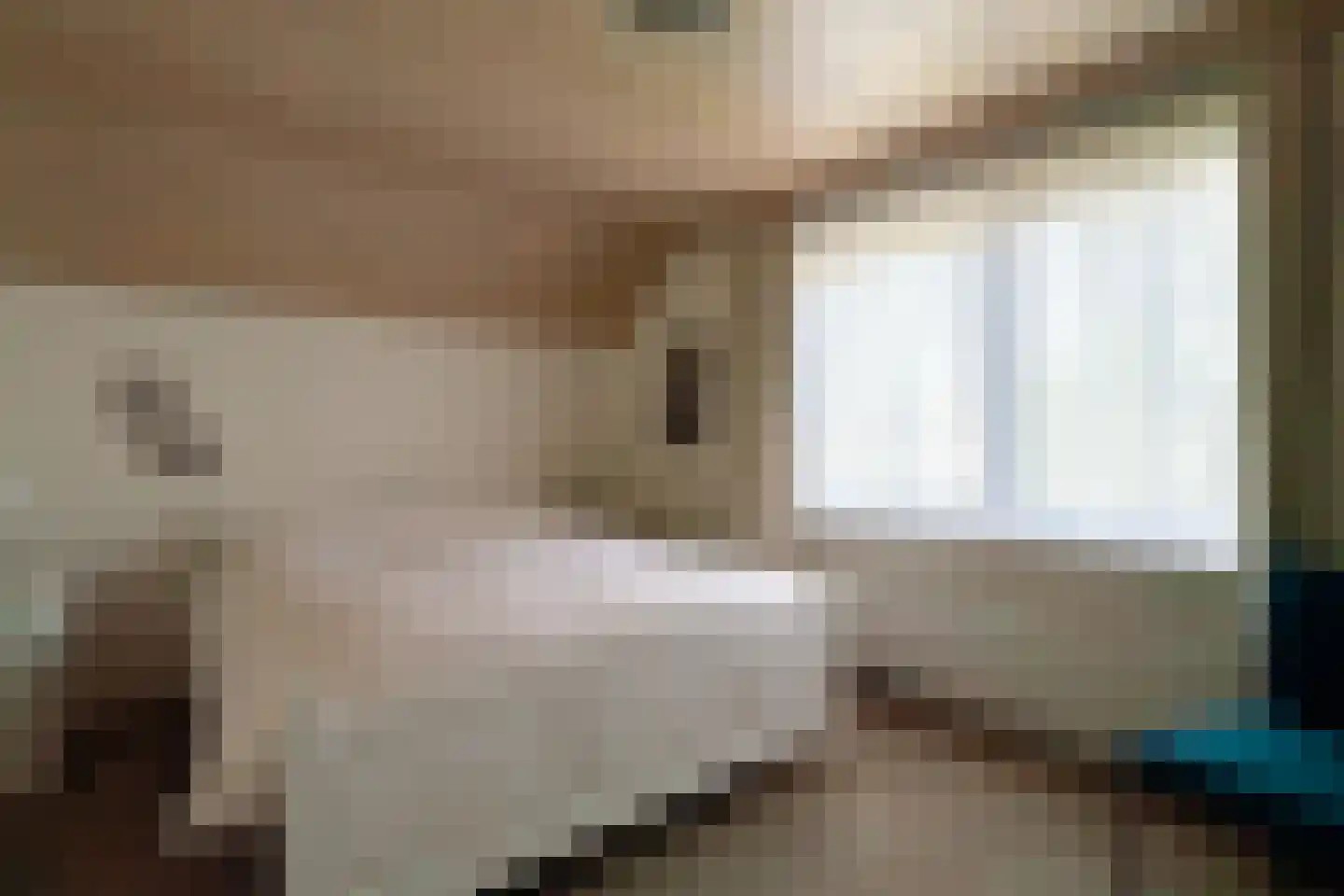 Hagelkruisweg 20 Wehl thumbnail 15