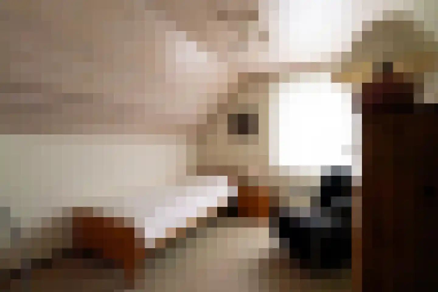 Hagelkruisweg 20 Wehl thumbnail 18