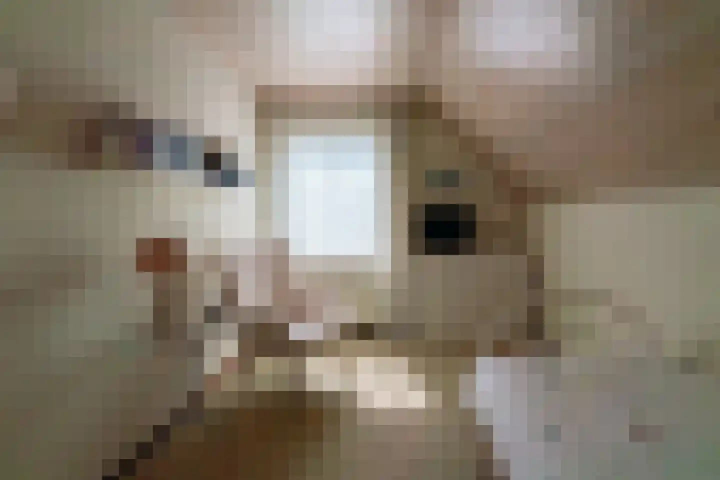 Hagelkruisweg 20 Wehl thumbnail 20