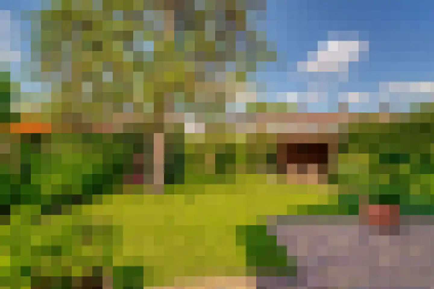 Hagelkruisweg 20 Wehl thumbnail 25