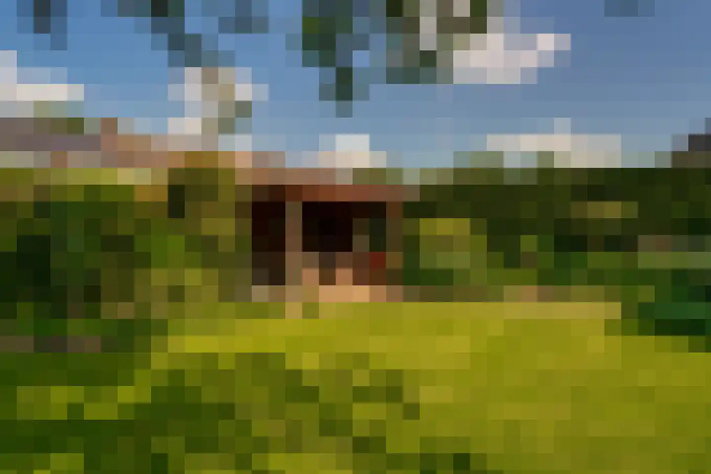 Hagelkruisweg 20 Wehl thumbnail 26
