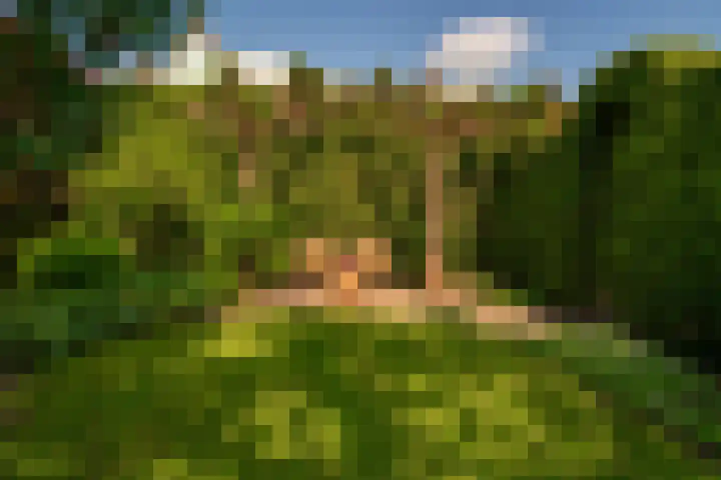 Hagelkruisweg 20 Wehl thumbnail 28