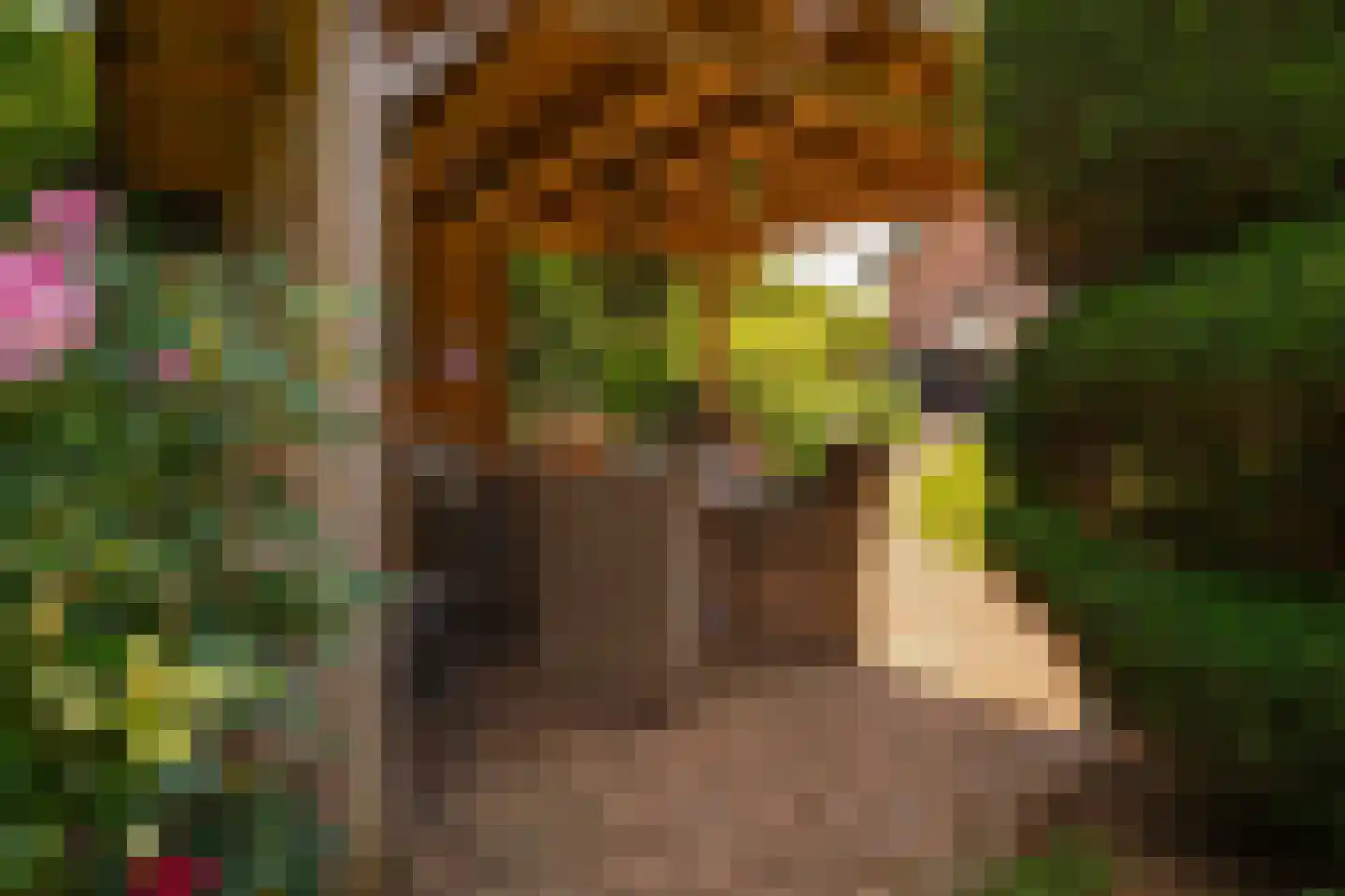 Hagelkruisweg 20 Wehl thumbnail 30