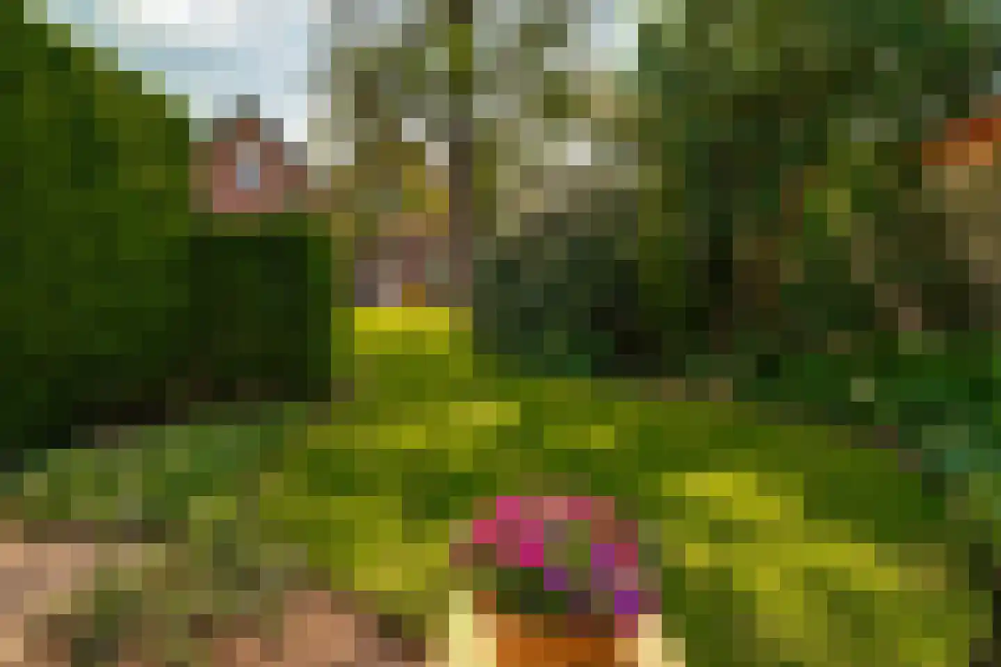 Hagelkruisweg 20 Wehl thumbnail 33