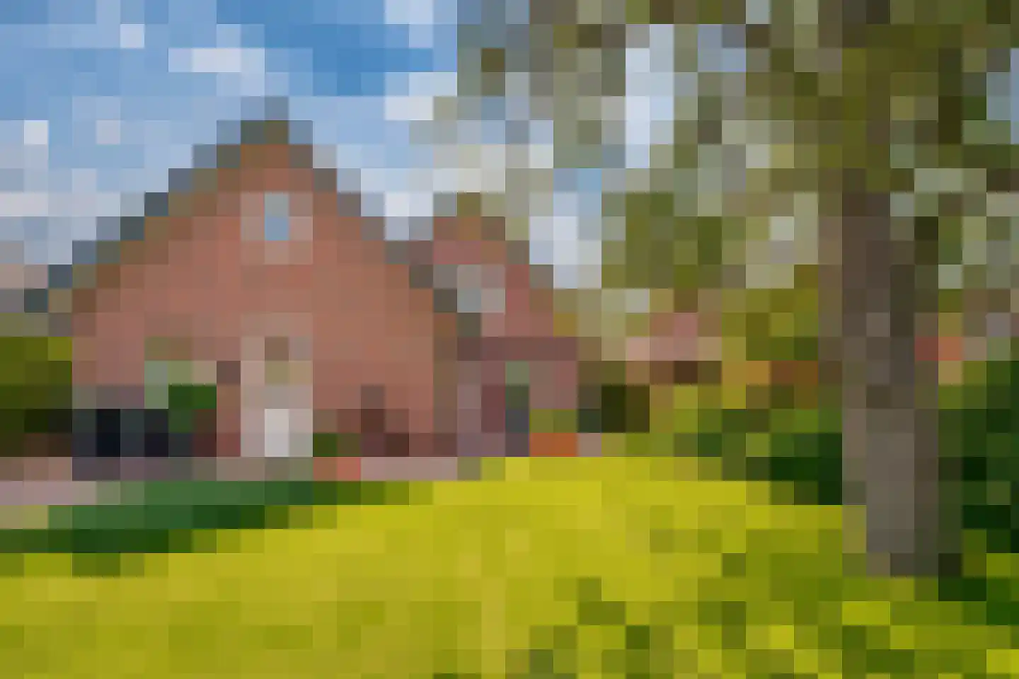 Hagelkruisweg 20 Wehl thumbnail 35