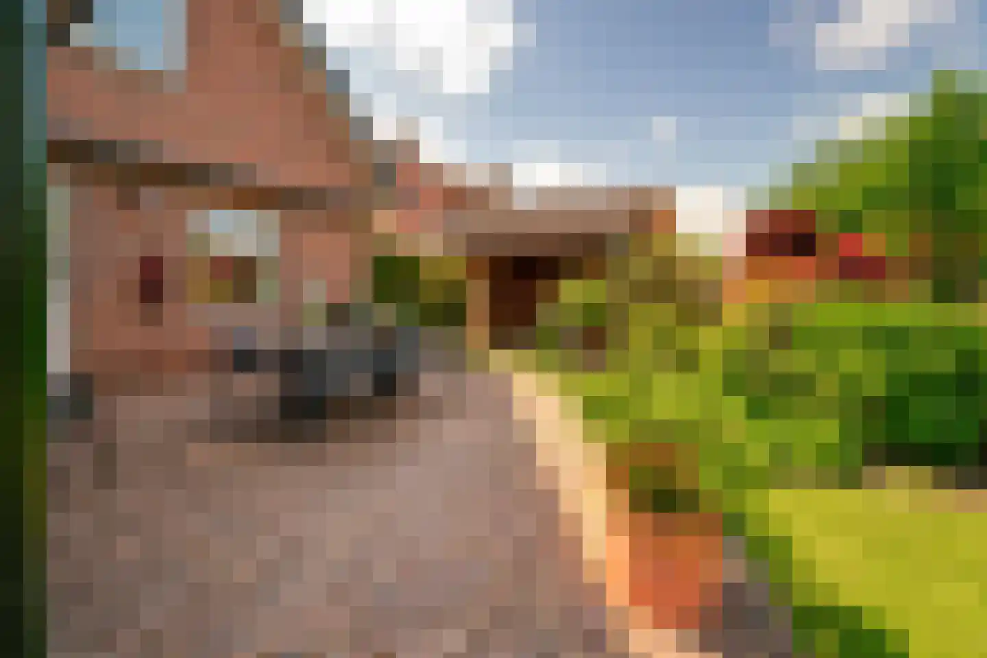 Hagelkruisweg 20 Wehl thumbnail 36