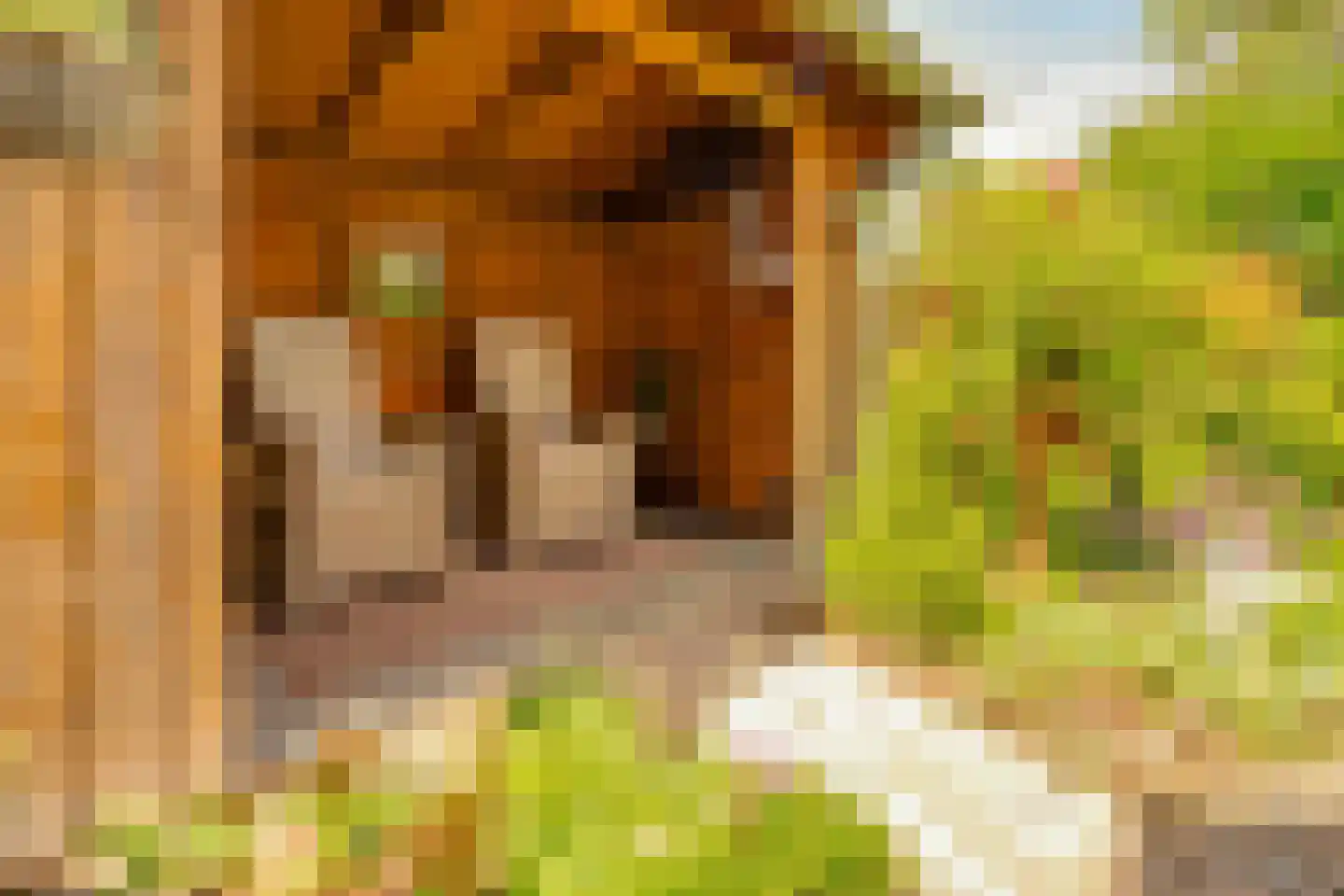 Hagelkruisweg 20 Wehl thumbnail 38