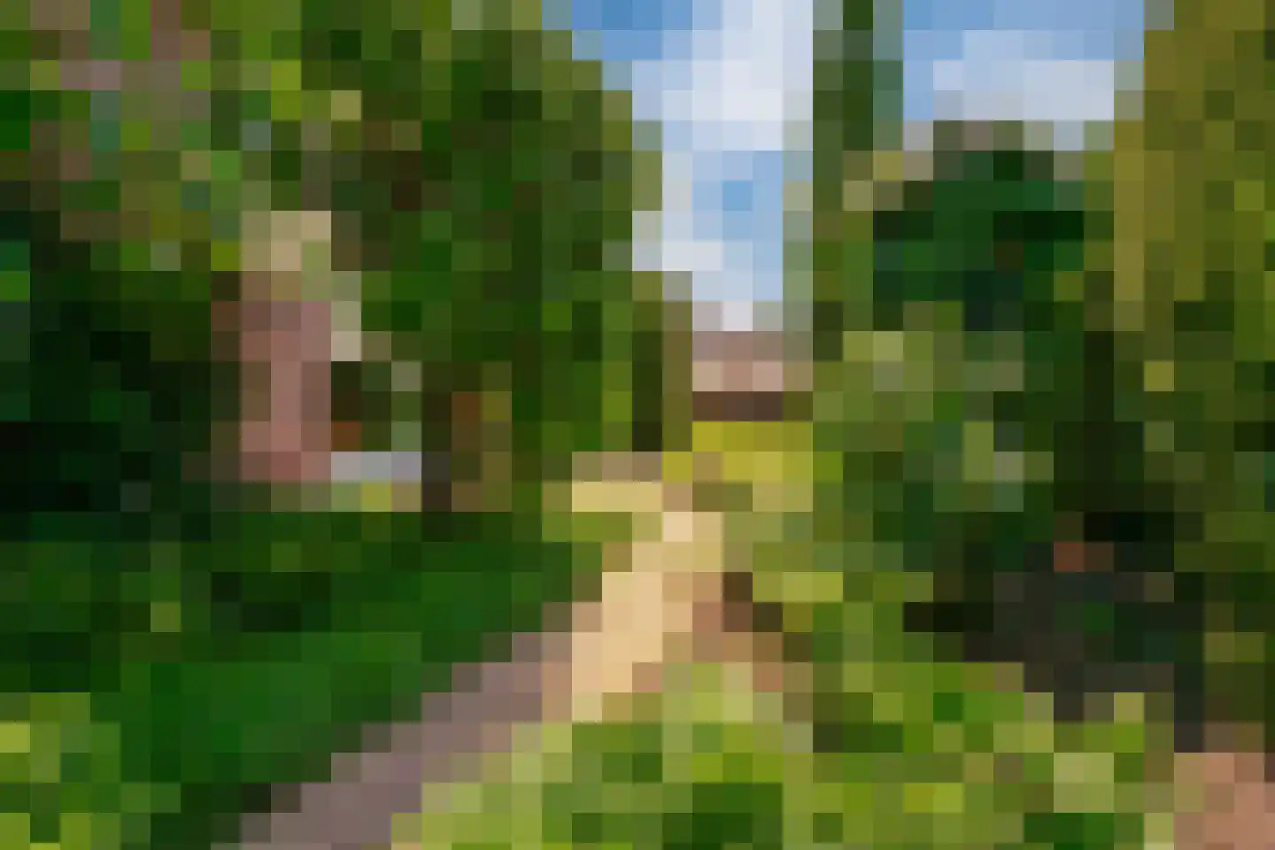 Hagelkruisweg 20 Wehl thumbnail 39